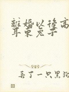 离婚以后高干 耳东兔子封面