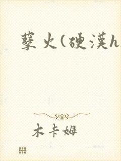孽火(硬汉h)
