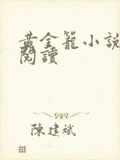 黄金笼小说免费阅读封面