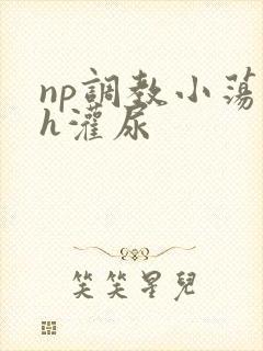 np调教小荡货h灌尿