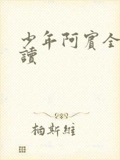 少年阿宾全集阅读