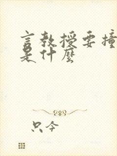 言教授要撞坏了是什么
