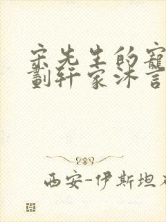 宋先生的宠妻计划轩家沐言