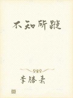不知所踪封面