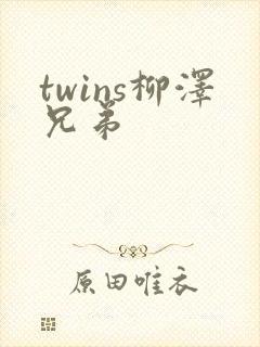 twins柳泽兄弟封面