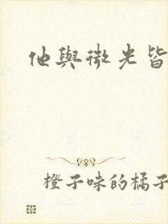 他与微光皆倾城封面
