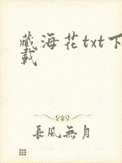 藏海花txt下载封面