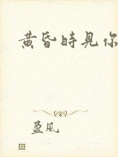 黄昏时见你
