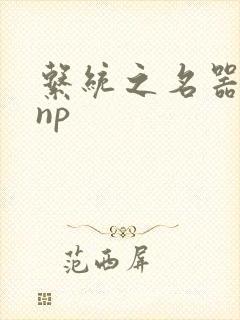 系统之名器攻略np