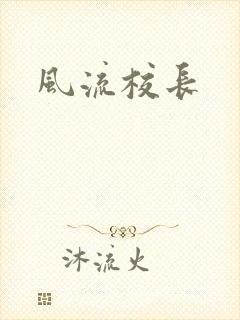 风流校长封面