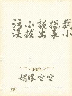 污小说总裁整夜没拔出来小说在线阅读