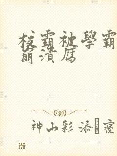 校霸被学霸玩到崩溃腐封面