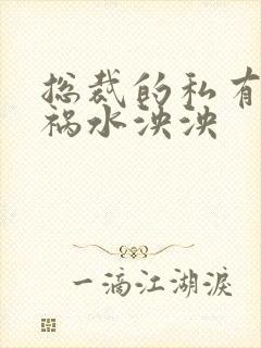 总裁的私有宝贝祸水泱泱封面