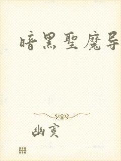 暗黑圣魔导