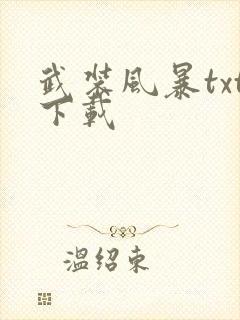 武装风暴txt下载