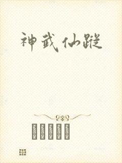 神武仙踪封面