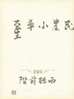 至尊小农民王木生