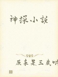 神探小说封面