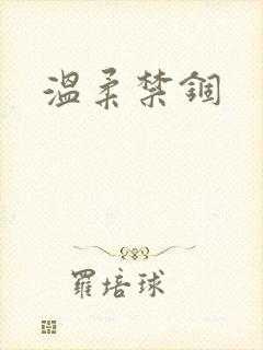 温柔禁锢封面