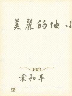 美丽的他 小说