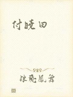 付晓田