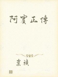 阿宾正传封面