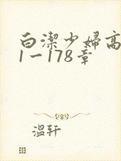 白洁少妇高义第1一178章