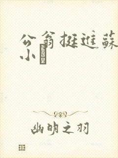 公翁挺进苏玥的小泬