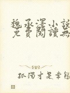 魏承泽小说全文免费阅读无弹窗笔趣