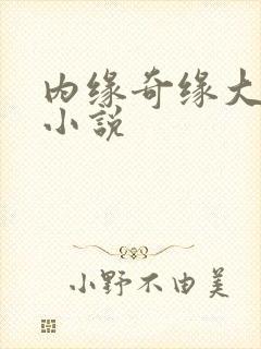 内缘奇缘大团圆小说