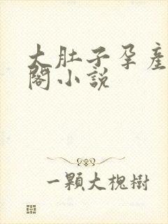 大肚子孕产笔趣阁小说