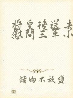将皇后送去军营慰问三军小说