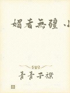 媚者无疆 小说