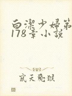白洁少妇第1一178章小说封面