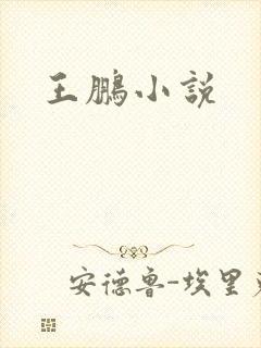 王鹏小说封面