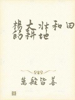 杨大壮和田桂花的耕地