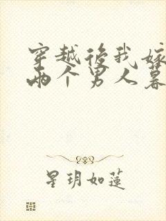 穿越后我嫁给了两个男人暮色酒歌封面