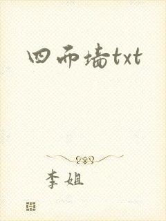 四面墙txt