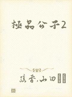 极品公子2封面