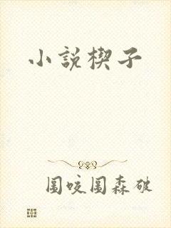 小说楔子