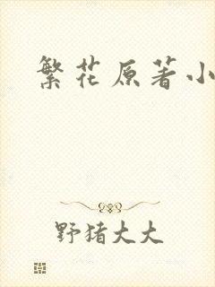 繁花原著小说