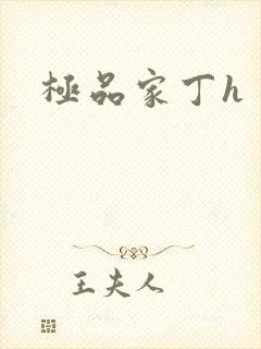 极品家丁h