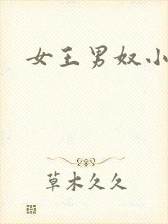 女王男奴小说