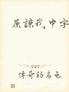 原谅我中字封面
