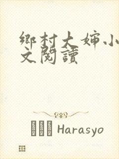 乡村大婶小说全文阅读封面