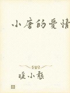 小唐的爱情史