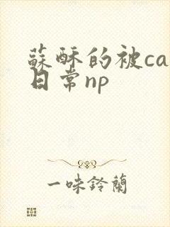 苏酥的被cao日常np