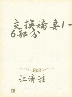 交换娇妻1一36部分