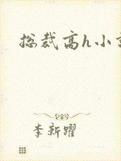 总裁高h小说封面