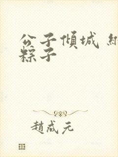 公子倾城 维和粽子